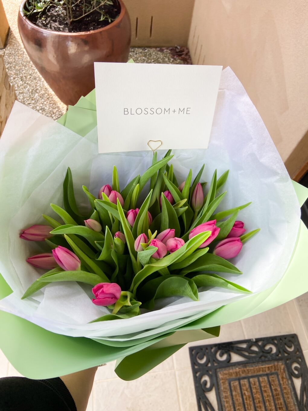 Pre Order - Surprise Me Tulips