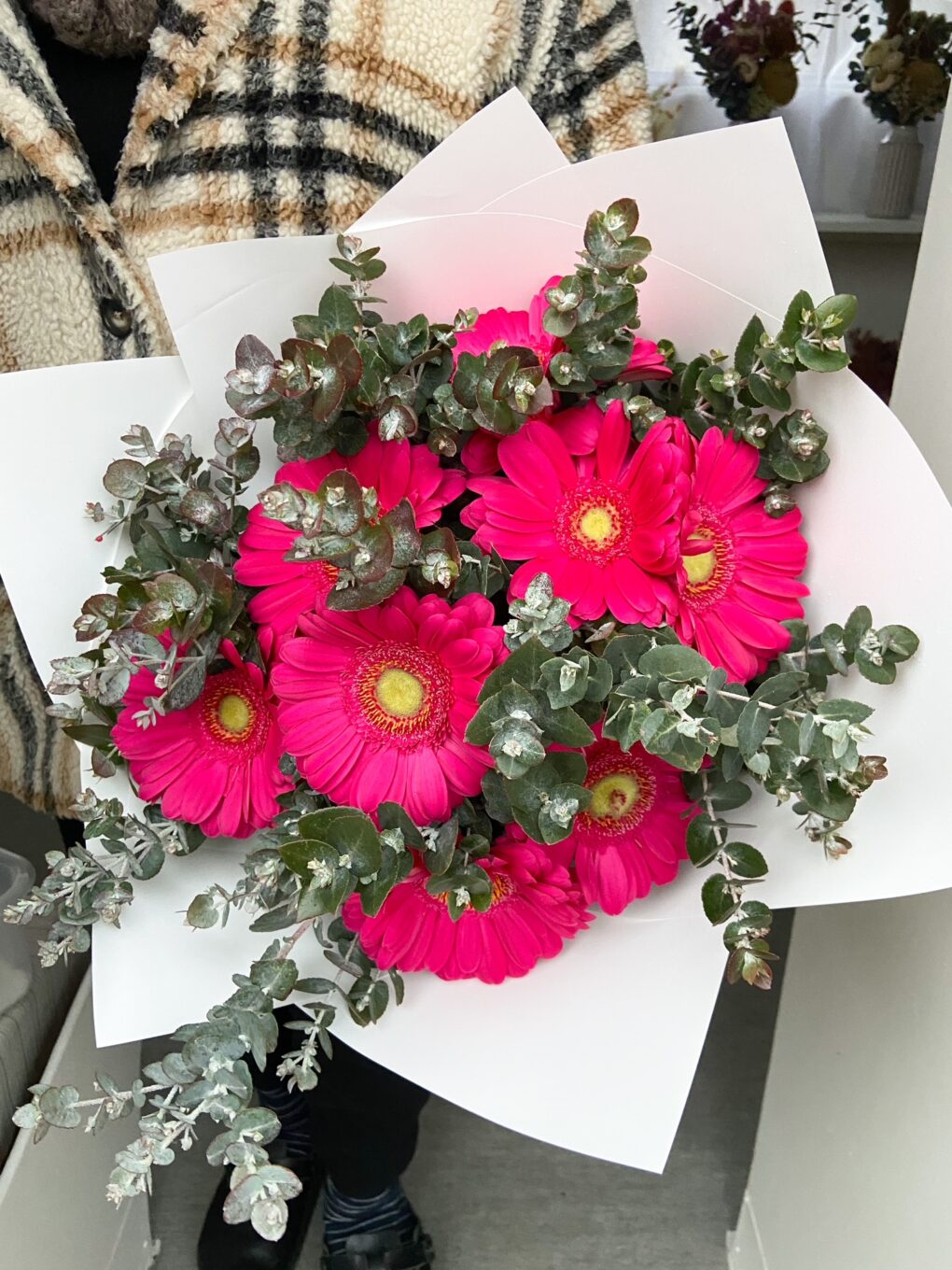 Lush Gerbera Bouquet