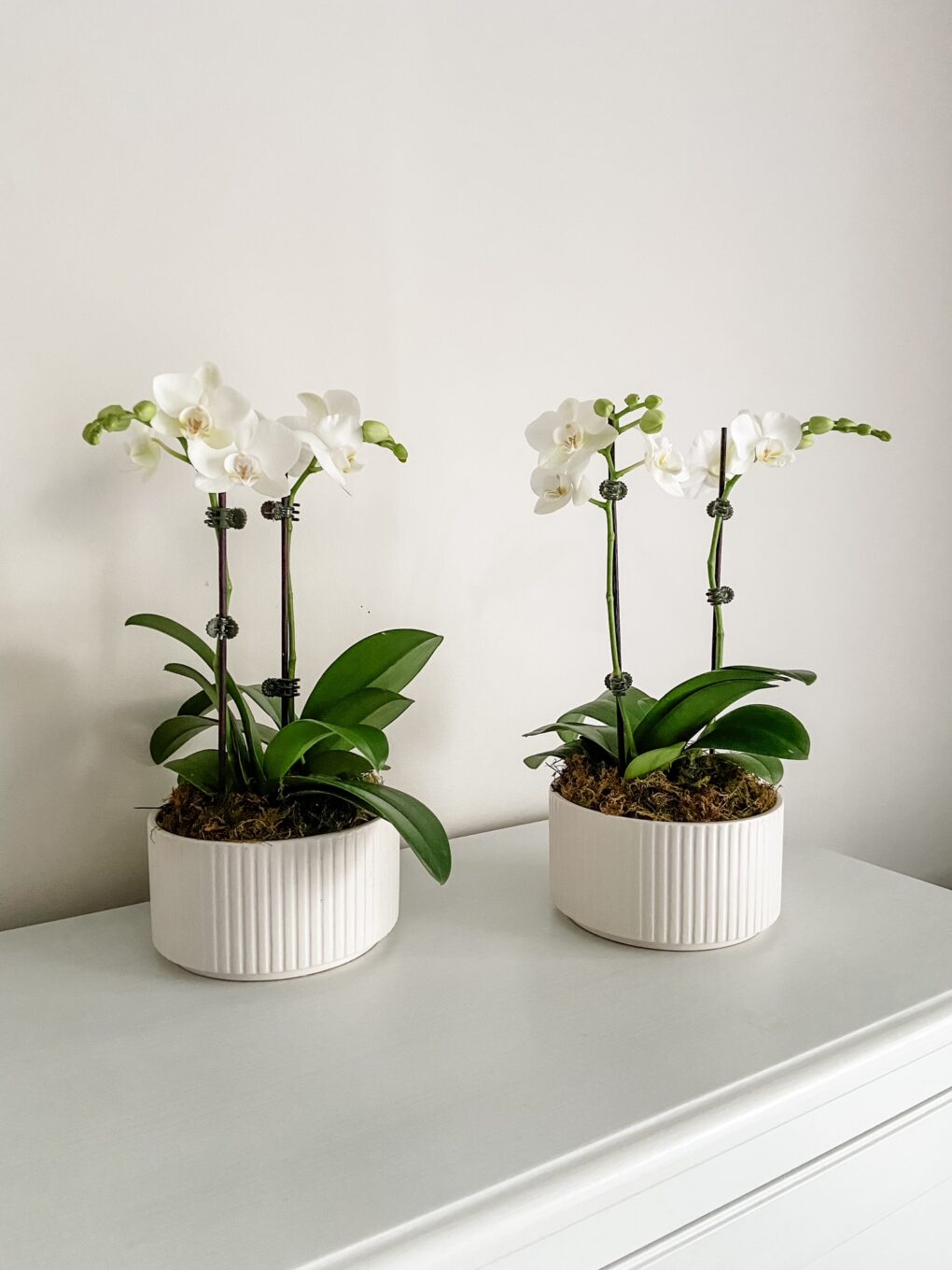 Designer Orchid Bowl - Image 2